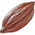 Cocoa absolute